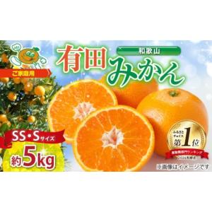 ふるさと納税 果物類 みかん 静岡県 浜松市 三ヶ日みかん 青島 ふるさと納税 果物類 みかん 静岡県 浜松市 三ヶ日みかん 青島