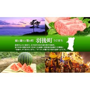 ふるさと納税 牛肉 秋田県 羽後町 希少部位も...の詳細画像5