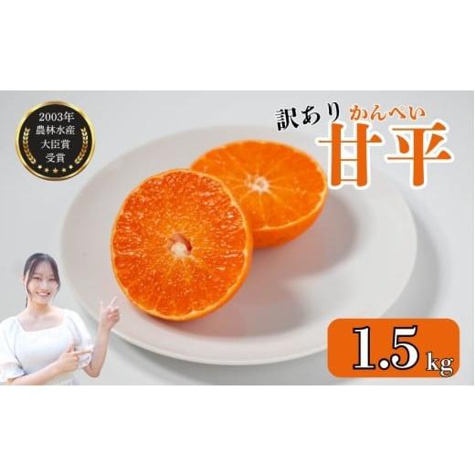 ふるさと納税 みかん・柑橘類 愛媛県 愛南町 先行予約 数量限定 訳あり甘平 1.5kg サイズミッ...