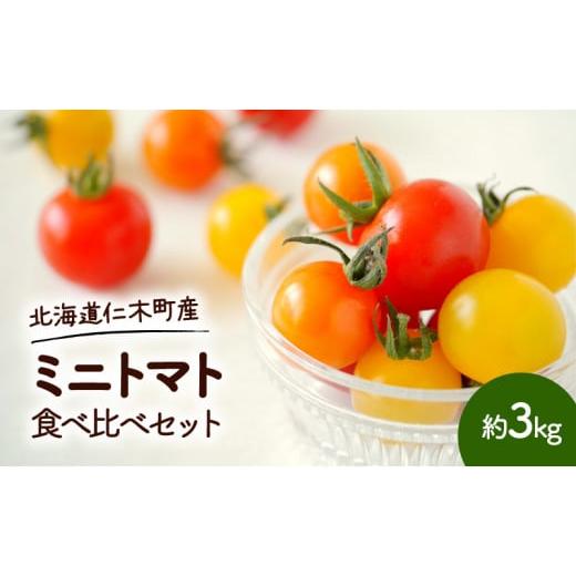 ふるさと納税 北海道 仁木町 北海道 仁木町産 ミニトマト 食べ比べ セット 約3kg とまと トマ...