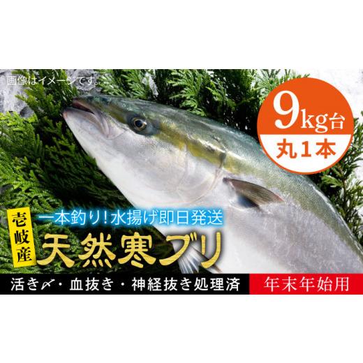 ふるさと納税 長崎県 壱岐市 【11／1〜1／15お届け 年末年始用】天然 寒ブリ（9キロ台・丸もの...