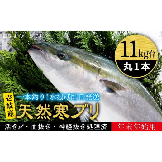 ふるさと納税 長崎県 壱岐市 【11／1〜1／15お届け 年末年始用】天然 寒ブリ（11キロ台・丸も...