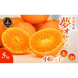 ふるさと納税 果物類 みかん 愛媛県 愛南町  訳あり品 みかん職人の夢おれんじ 小粒っ子 5kg オレンジ みかん 柑橘 果物 フルーツ 愛媛 みかん職人武田屋 蜜柑…｜ふるさとチョイス