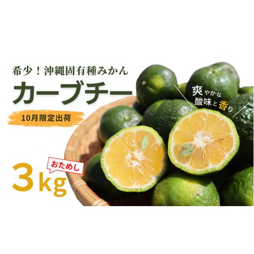 ふるさと納税 沖縄県 国頭村 【先行予約／10月発送】国頭村産 島みかん「カーブチー」お試し３kg