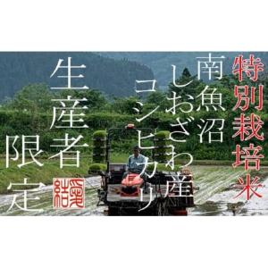 ふるさと納税 米 コシヒカリ 新潟県 南魚沼市...の詳細画像4