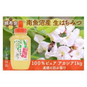 ふるさと納税 新潟県 南魚沼市 【頒布会】さいき養蜂園　　天然ピュア蜂蜜　アカシア１ｋｇ　6か月連続お届け