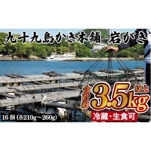 ふるさと納税 長崎県 佐世保市 A174p 九十九島かき本舗岩がきB