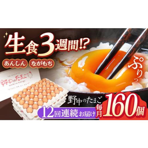 ふるさと納税 長崎県 川棚町 【12回定期便】産みたて新鮮卵 野中のたまご  160個×12回 計1...