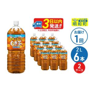 ふるさと納税 お茶類 群馬県 明和町 健康ミネラルむぎ茶 2L×6本 2ケース 伊藤園 伊藤園 麦茶 むぎ茶 ペットボトル