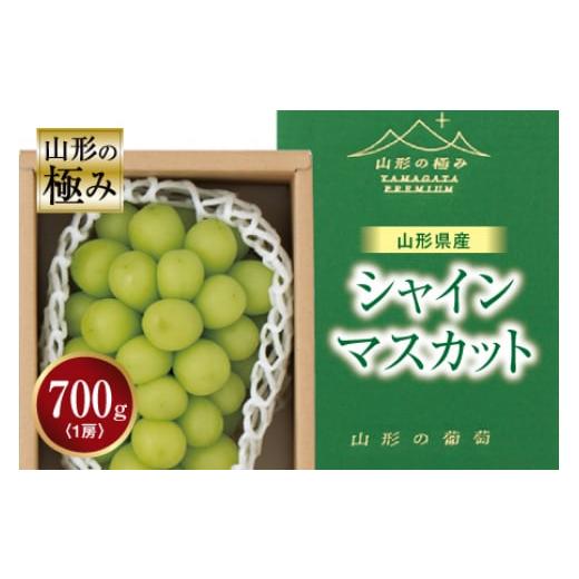 ふるさと納税 山形県 - 《先行予約》山形の極み 山形県産 シャインマスカット F2Y-1149