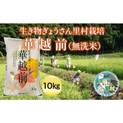 ふるさと納税 福井県 越前市 【令和5年度産】生き物ぎょうさん里村栽培 華越前（無洗米）10kg ビ...