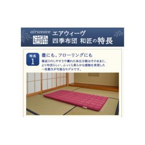 ふるさと納税 タオル・寝具 敷布団 福岡県 大...の詳細画像3