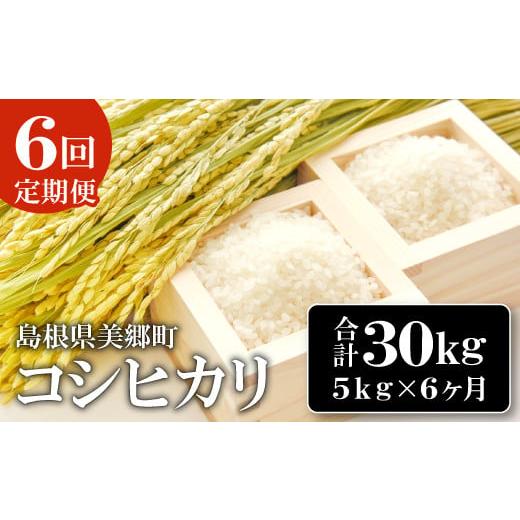 ふるさと納税 島根県 美郷町 【定期便6ヶ月】令和5年産 石見地方 美郷町産 コシヒカリ 5kg【令...