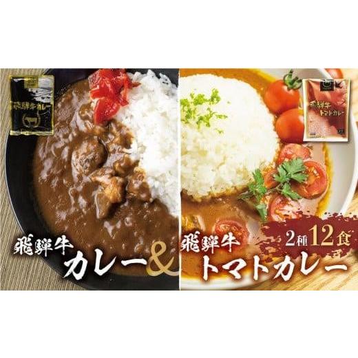 ふるさと納税 岐阜県 高山市 飛騨牛カレー (8袋) 飛騨牛トマトカレー (4袋)  | 訳あり 飛...