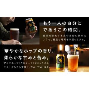 ふるさと納税 ビール 地ビール 大阪府 泉佐野...の詳細画像3