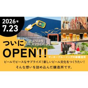 ふるさと納税 ビール 地ビール 大阪府 泉佐野...の詳細画像4