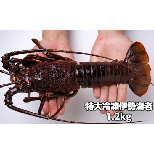 ふるさと納税 エビ 伊勢エビ 千葉県 長生村 C02-E43 活〆冷凍伊勢海老 1.2kg