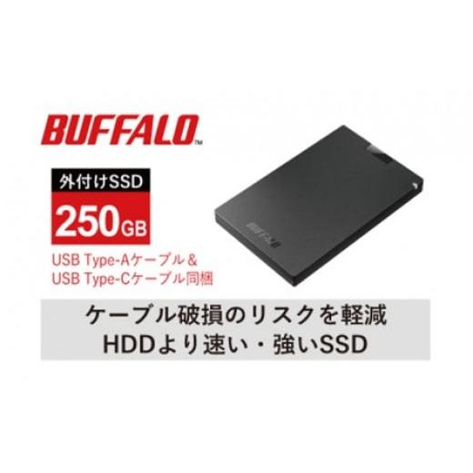 ふるさと納税 雑貨・日用品 愛知県 日進市 BUFFALO バッファロー ポータブル SSD 250...