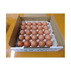 ふるさと納税 群馬県 長野原町 有名レストラン、一流老舗旅館で使われる「浅間とり牧場卵」大玉25個