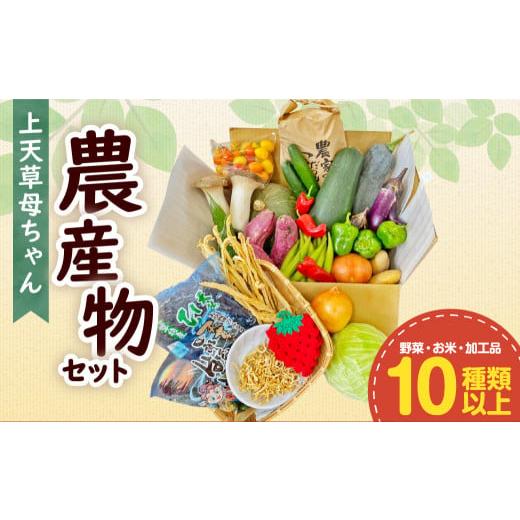 ふるさと納税 熊本県 上天草市 上天草母ちゃん農産物セット 野菜・お米・加工品10種類以上！