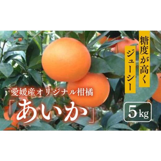 ふるさと納税 愛媛県 伊方町 【数量限定】【先行予約】あいか（生果5kg）｜みかん 愛媛県産 紅マド...