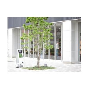 ふるさと納税 ファッション 靴 愛知県 名古屋...の詳細画像2