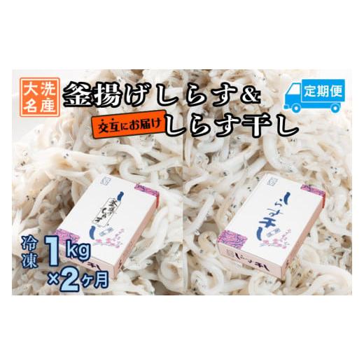 ふるさと納税 魚貝類 しらす 茨城県 大洗町 釜揚げしらす しらす干し 交互 定期便 (1kg×2か...