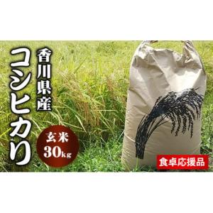 ふるさと納税 香川県 東かがわ市 [No.4631-2036]「食卓応援品」香川県東かがわ市 令和5年産 コシヒカリ（玄米 30kg）