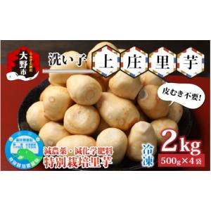 上庄の里芋 10kg入 福井県大野市産里いも(サトイモ) 特産品 里イモ