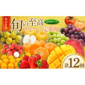 ふるさと納税 果物の詰合せ 宮崎県 新富町 南国宮崎 旬の《至高》フルーツ定期便 12か月コース G25-25