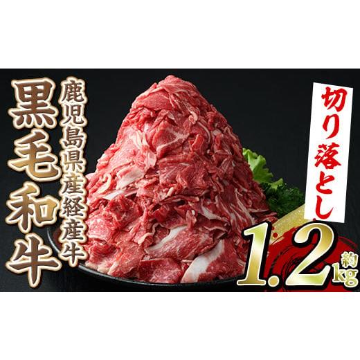 ふるさと納税 牛肉 鹿児島県 阿久根市  選べる4種 黒毛和牛鹿児島県産(経産牛)切り落とし(計1....