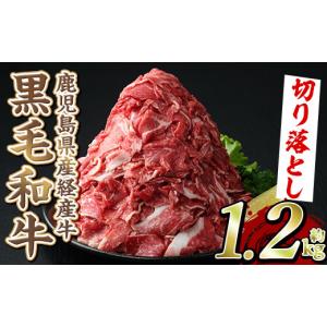 ふるさと納税 牛肉 鹿児島県 阿久根市 鹿児島...の詳細画像1