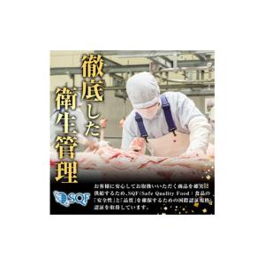 ふるさと納税 牛肉 鹿児島県 阿久根市 鹿児島...の詳細画像3