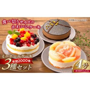 ふるさと納税 福岡県 糸島市 フルーツ ／ チョコムース ／ レアチーズ ホールケーキ 3種 冷凍 糸島市 ／ 五洋食品産業 [AQD017] ランキング 上位 人気 おすす…｜ふるさとチョイス