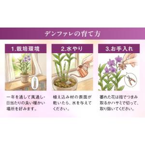 ふるさと納税 雑貨・日用品 花 福岡県 糸島市...の詳細画像3