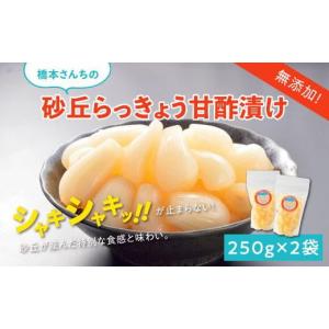 ふるさと納税 加工品等 漬物 鳥取県 鳥取市 ...の詳細画像1