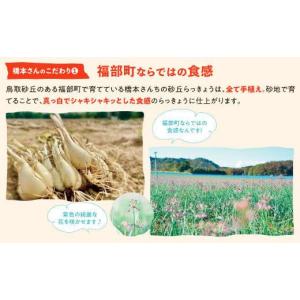 ふるさと納税 加工品等 漬物 鳥取県 鳥取市 ...の詳細画像2