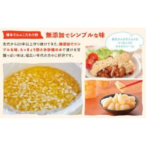 ふるさと納税 加工品等 漬物 鳥取県 鳥取市 ...の詳細画像3