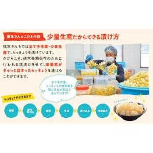 ふるさと納税 加工品等 漬物 鳥取県 鳥取市 ...の詳細画像4