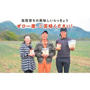 ふるさと納税 加工品等 漬物 鳥取県 鳥取市 ...の詳細画像5