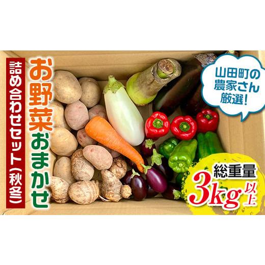ふるさと納税 セット・詰合せ 岩手県 山田町  先行予約 8月下旬〜11月下旬発送 漉磯さんのお野菜...