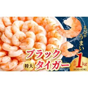 ふるさと納税 大阪府 泉佐野市 ブラックタイガー