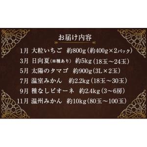 ふるさと納税 メロン メロン青肉 宮崎県 新富...の詳細画像2
