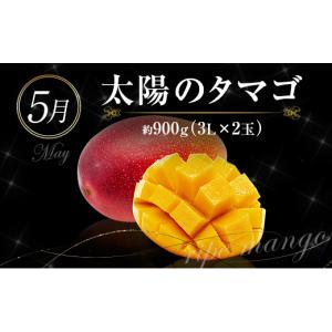 ふるさと納税 メロン メロン青肉 宮崎県 新富...の詳細画像4