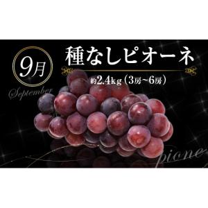 ふるさと納税 メロン メロン青肉 宮崎県 新富...の詳細画像5
