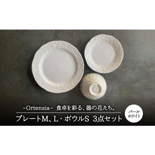 ふるさと納税 食器・グラス 皿 岐阜県 土岐市  美濃焼 Ortensia-オルテンシア- パールホ...