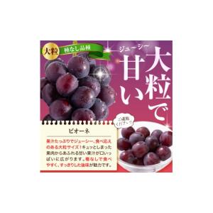 ふるさと納税 果物類 ぶどう 山形県 天童市 ...の詳細画像3