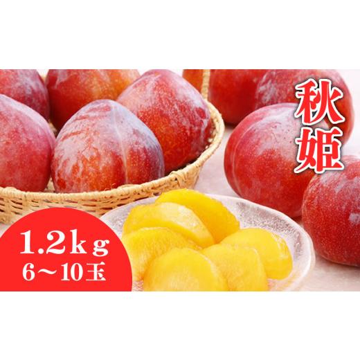 ふるさと納税 果物類 山形県 天童市 08-01-018　プラム(秋姫)1.2kg