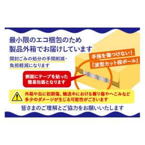 ふるさと納税 ビール 群馬県 邑楽町 《定期便...の詳細画像3