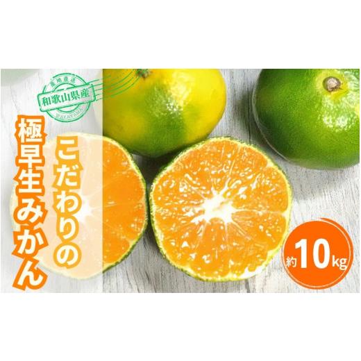 ふるさと納税 果物類 みかん 和歌山県 新宮市  2026年秋頃発送予約分 ＼光センサー選別／ 農家...